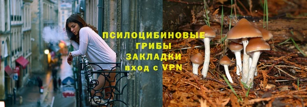 прущие грибы Алзамай