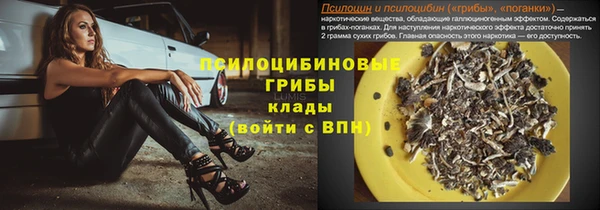 ешки Абаза