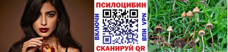 Псилоцибиновые грибы мухоморы  где купить наркоту  Боровичи 