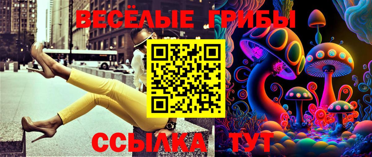 Боровичи  Псилоцибиновые грибы прущие грибы  Вход с VPN 
