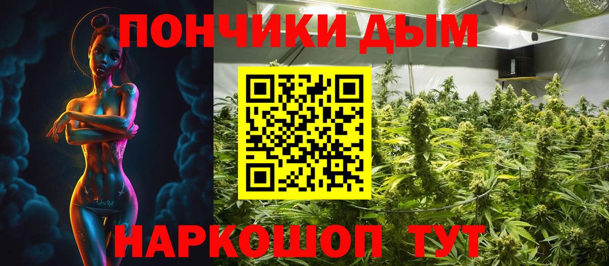 Бошки Шишки семена Боровичи